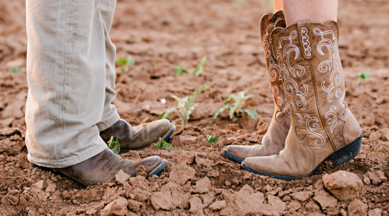Tips and Tricks for Buying the Best Cowboy Boots
